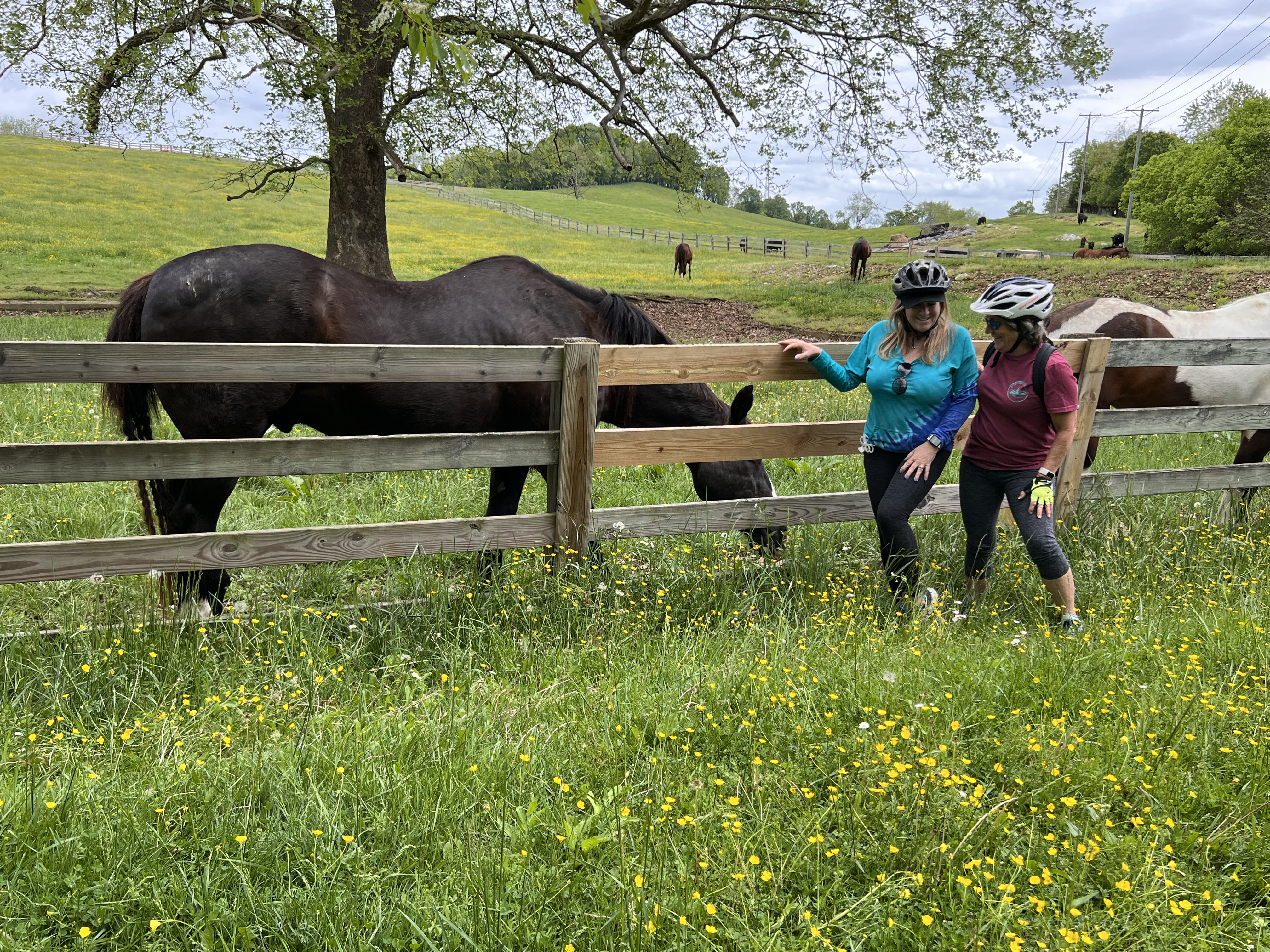 ./2025/04 - Virginia Creeper/IMG_0066.jpg